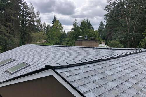 White windows from a kitchen view